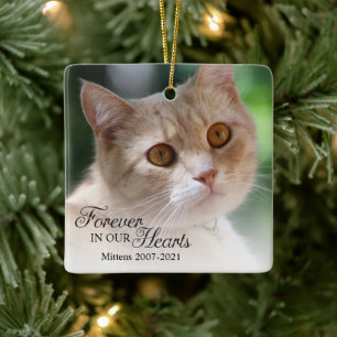 Adorno De Cerámica Foto de gato para siempre en nuestros corazones
