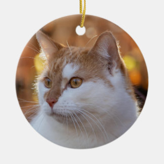 Adorno De Cerámica Foto de gato personalizada