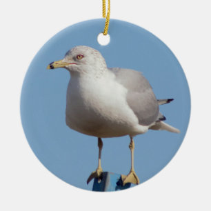 Adorno De Cerámica Foto de Gaviota