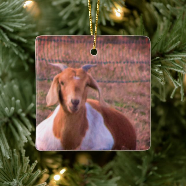 Adorno De Cerámica Foto de Goat (Árbol)