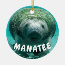 Foto de la cara del Manatee