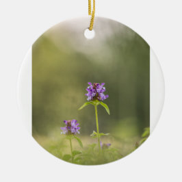 Adorno De Cerámica Foto de la naturaleza de la flor morada