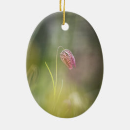 Adorno De Cerámica Foto de la naturaleza de las flores de ajedrez