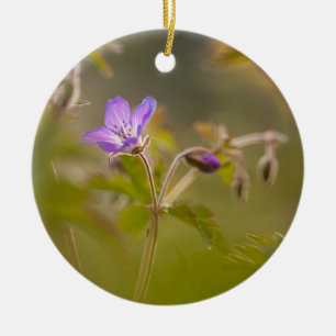 Adorno De Cerámica Foto de la naturaleza de las flores de geranio