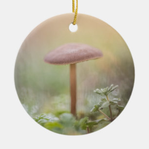 Adorno De Cerámica Foto de la naturaleza de Little Mushroom