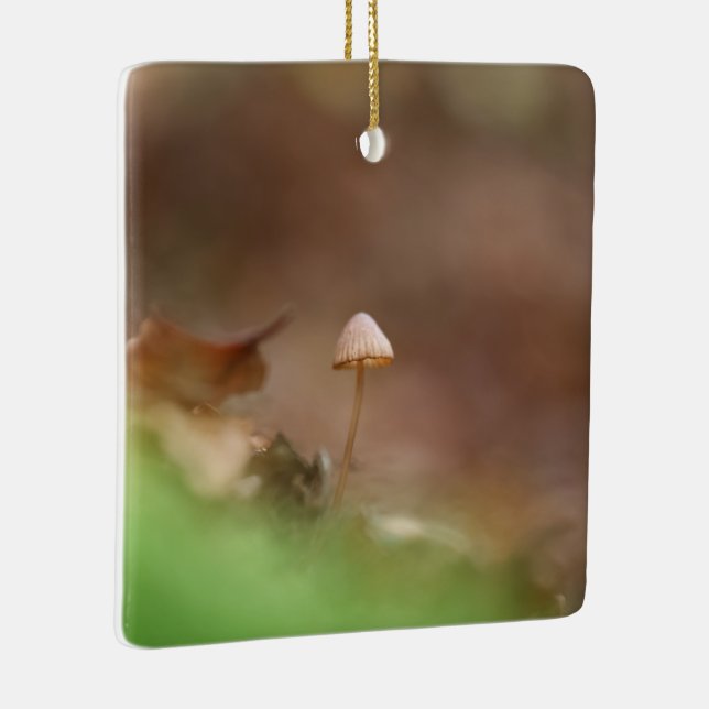 Adorno De Cerámica Foto de la naturaleza de Little Mushroom (Derecha)
