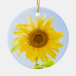 Adorno De Cerámica Foto de la naturaleza del girasol