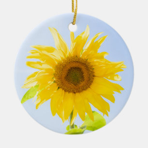 Adorno De Cerámica Foto de la naturaleza del girasol