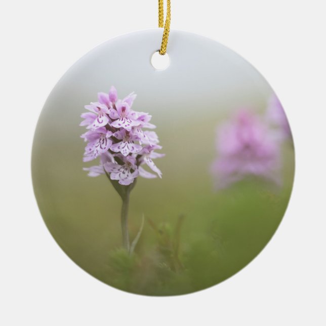 Adorno De Cerámica Foto de la naturaleza del orquídea (Frente)