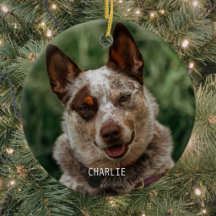 Foto de mascota de Navidad