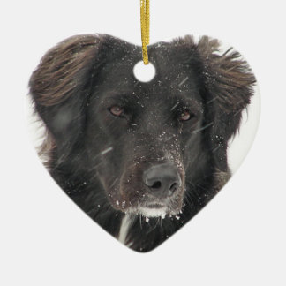 Adorno De Cerámica Foto de Mascota de perro de Labrador Negro