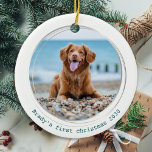 Adorno De Cerámica Foto de Mascota de perro verde de cuarentena, que<br><div class="desc">¡El mejor año de la historia! ¡Según los perros! Decoren su árbol o envíen un regalo especial con este adorable adorno de navidad de fotos mascota personalizado. Este divertido ornamento de navidad de perro en cuarentena de pandemia será el favorito de todos los amantes del perro. Añade la foto de...</div>
