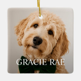 Adorno De Cerámica Foto de mascota moderna simple personalizada