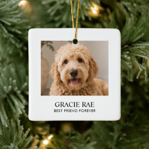 Adorno De Cerámica Foto de mascota moderna simple personalizada
