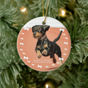 Adorno De Cerámica Foto de Mascota Personalizada
