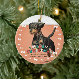 Adorno De Cerámica Foto de Mascota Personalizada