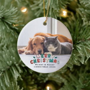 Adorno De Cerámica Foto de Mascota Personalizada