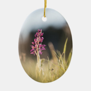 Adorno De Cerámica Foto de naturaleza de orquídeas silvestres