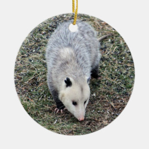 Adorno De Cerámica Foto de Opossum