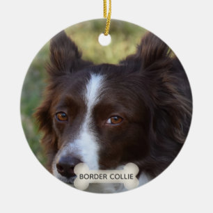Adorno De Cerámica Foto de perro Border Collie marrón personalizada