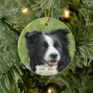 Adorno De Cerámica Foto de perro Border Collie personalizada
