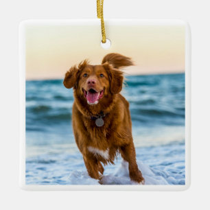 Adorno De Cerámica Foto de perro elegante personalizada