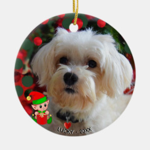 Adorno De Cerámica Foto de perro maltés personalizada con elfo lindo