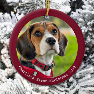Adorno De Cerámica Foto de perro Mascota personalizada de la primera