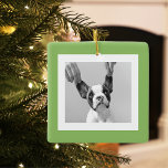 Adorno De Cerámica Foto de perro moderna Regalo verde simple y encant<br><div class="desc">Foto de perro moderna Regalo verde simple y encantador</div>