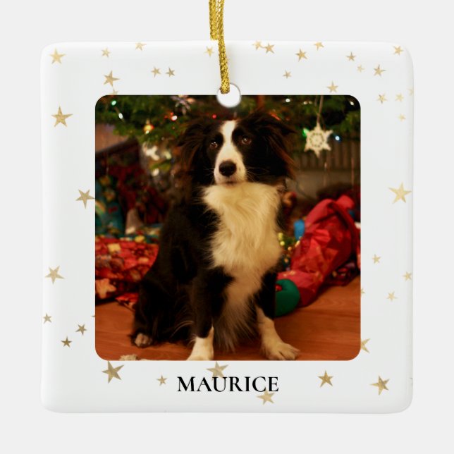 Adorno De Cerámica Foto de perro personalizado (Anverso)