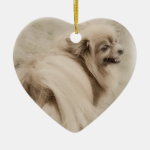 Adorno De Cerámica Foto de Pomeranian - Pom soñador
