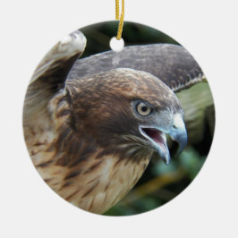 Adorno De Cerámica Foto de rapero hawaiano de cola roja