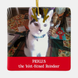Adorno De Cerámica Foto de su Mascota Mascota de renos con nubes húme