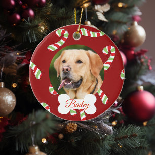 Adorno De Cerámica Foto de vacaciones de perro gato personalizada Cañ