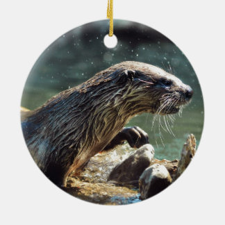 Adorno De Cerámica Foto de vida silvestre de River Otter