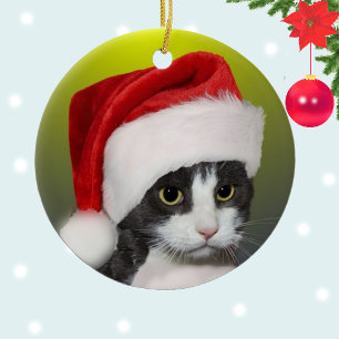 Adorno De Cerámica Foto del gato de Carol Tuxedo, Navidades personali