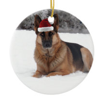 Foto del pastor alemán