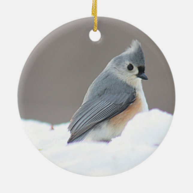 Adorno De Cerámica Foto del titmouse copetudo (Atrás)