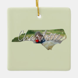 Adorno De Cerámica Foto estatal de Carolina del Norte insertada y nom