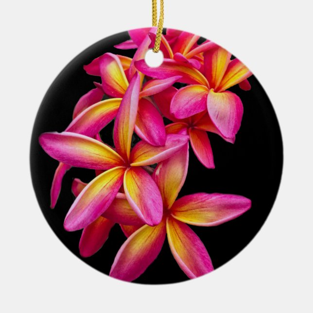 Adorno De Cerámica Foto floral de Plumeria Rosa bonito (Frente)