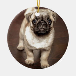 Adorno De Cerámica Foto linda del perrito del barro amasado