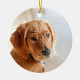 Adorno De Cerámica Foto mascota