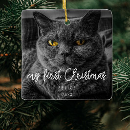 Adorno De Cerámica Foto Mascota moderna Primera Navidad