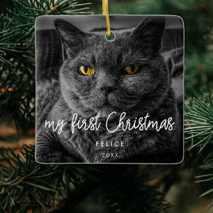 Adorno De Cerámica Foto Mascota moderna Primera Navidad