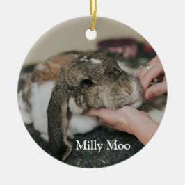 Adorno De Cerámica Foto Mascota personalizada