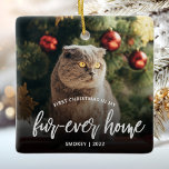 Adorno De Cerámica Foto mascota Primera Navidad Para Siempre Plata En<br><div class="desc">Conmemorar la primera Navidad de sus mascotas en su nuevo hogar con este hermoso adorno de conservas moderno. El texto dice "Primera Navidad en mi casa de cuatro años", con las palabras "casa de cuatro años" en elegante escritura de Relieve metalizado plateado falsa. Reemplace la imagen de ejemplo con una...</div>