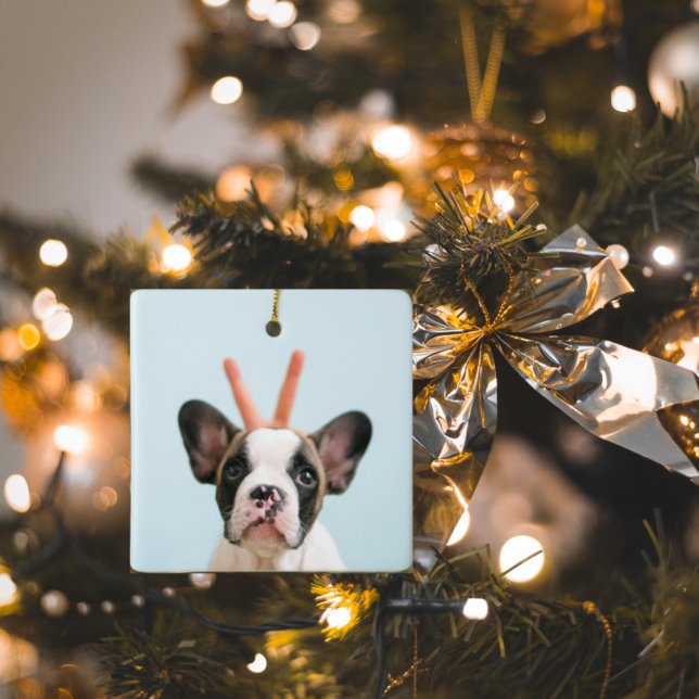 Adorno De Cerámica Foto moderna de perro | Feliz Navidad (Subido por el creador)