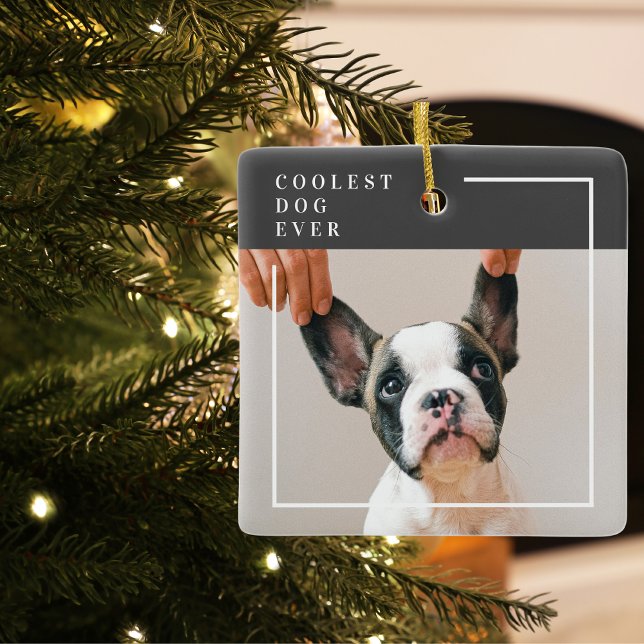 Adorno De Cerámica Foto moderna de perro | Perro más frío de la histo (Subido por el creador)