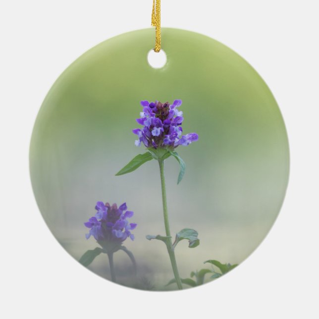 Adorno De Cerámica Foto natural de las flores de Prunella (Atrás)