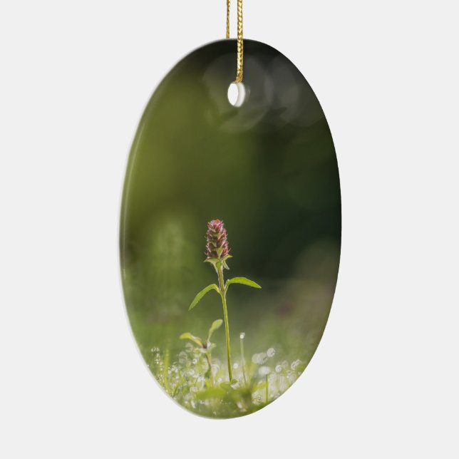 Adorno De Cerámica Foto natural de las flores de Prunella (Derecha)